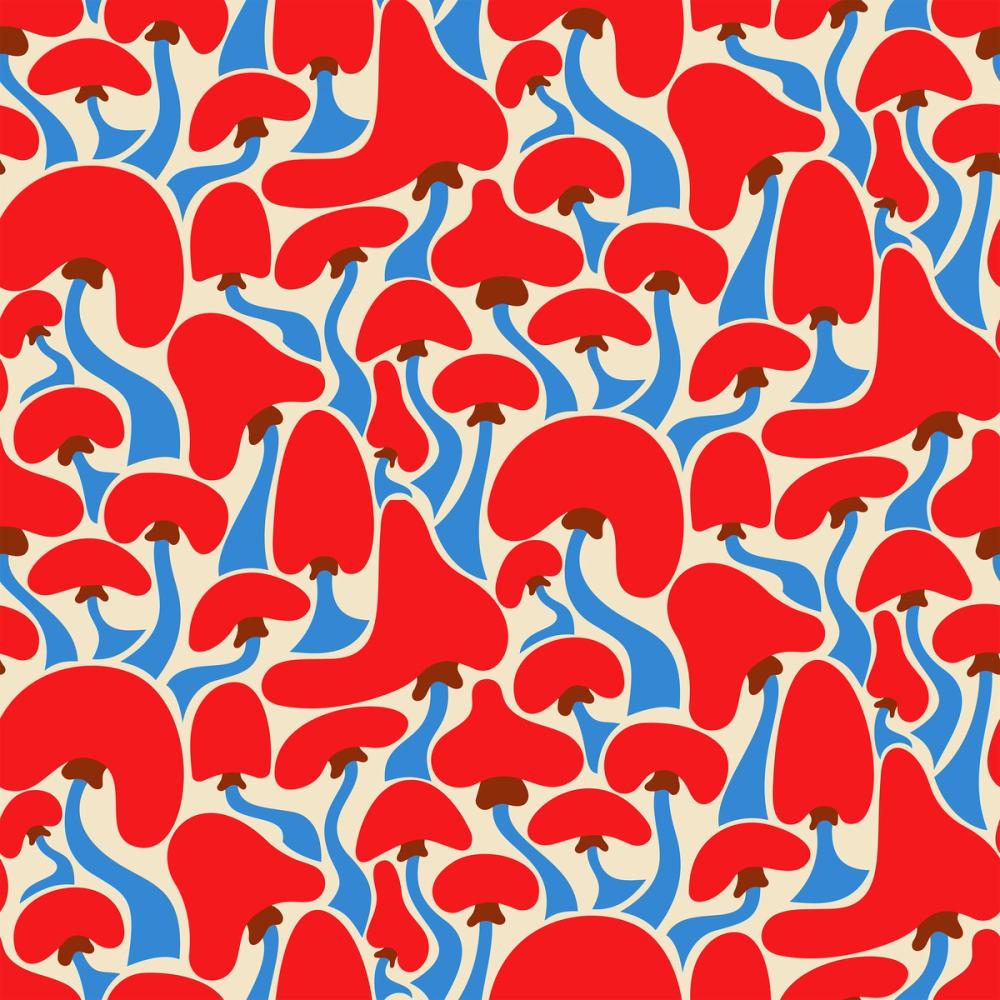 Groovy Mushrooms Pattern