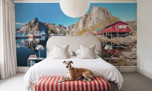 Lofoten Waking Up