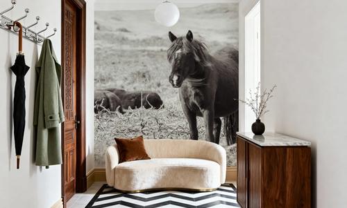 Dartmoor Ponies I