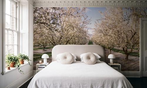 Blossoming Symmetry