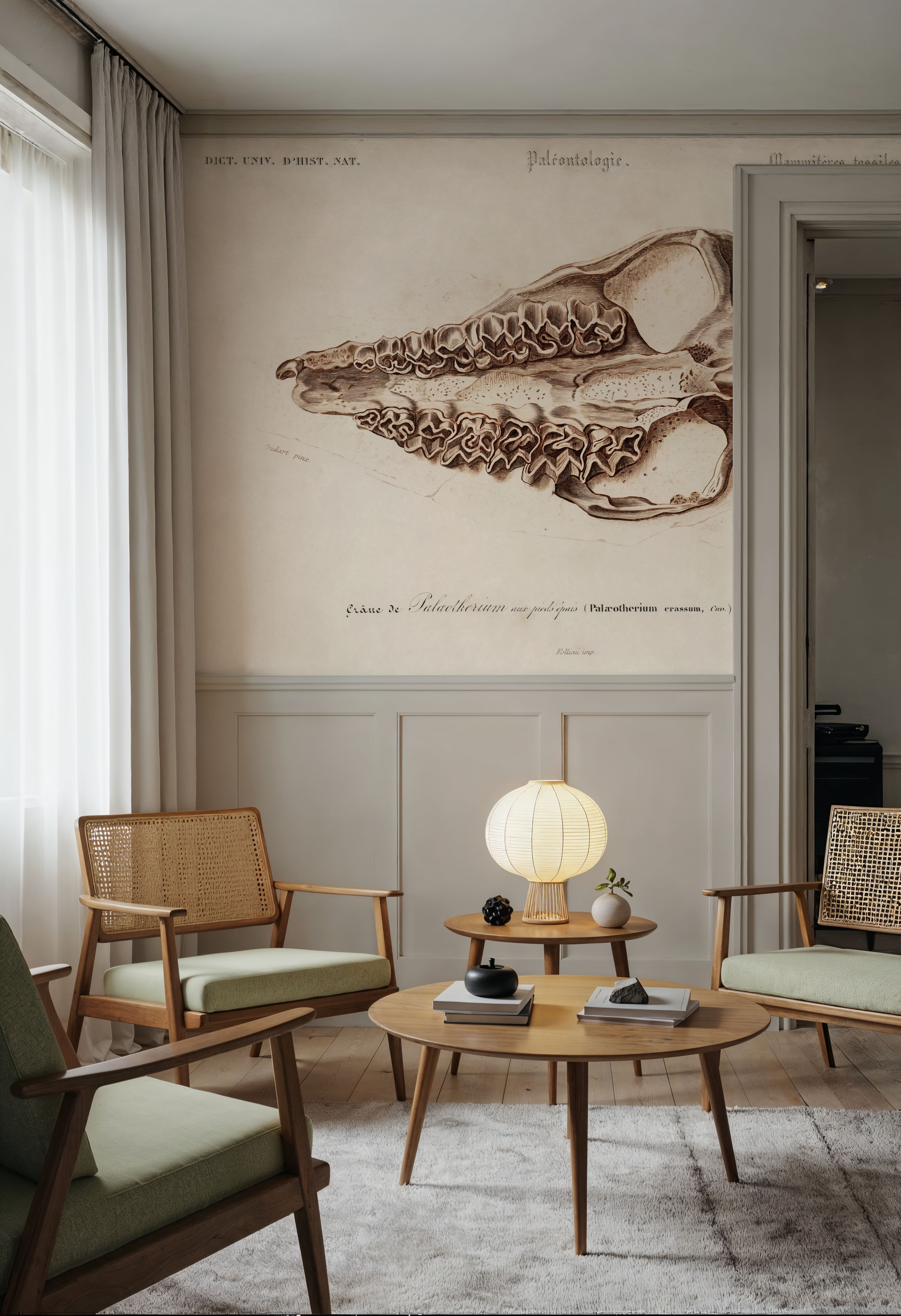 Palaeotherium Illustrated