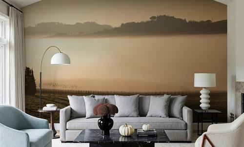 Foggy Grapes