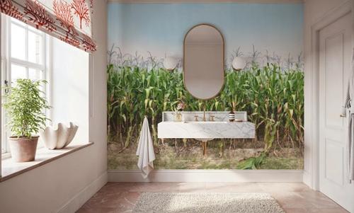 Corn Field