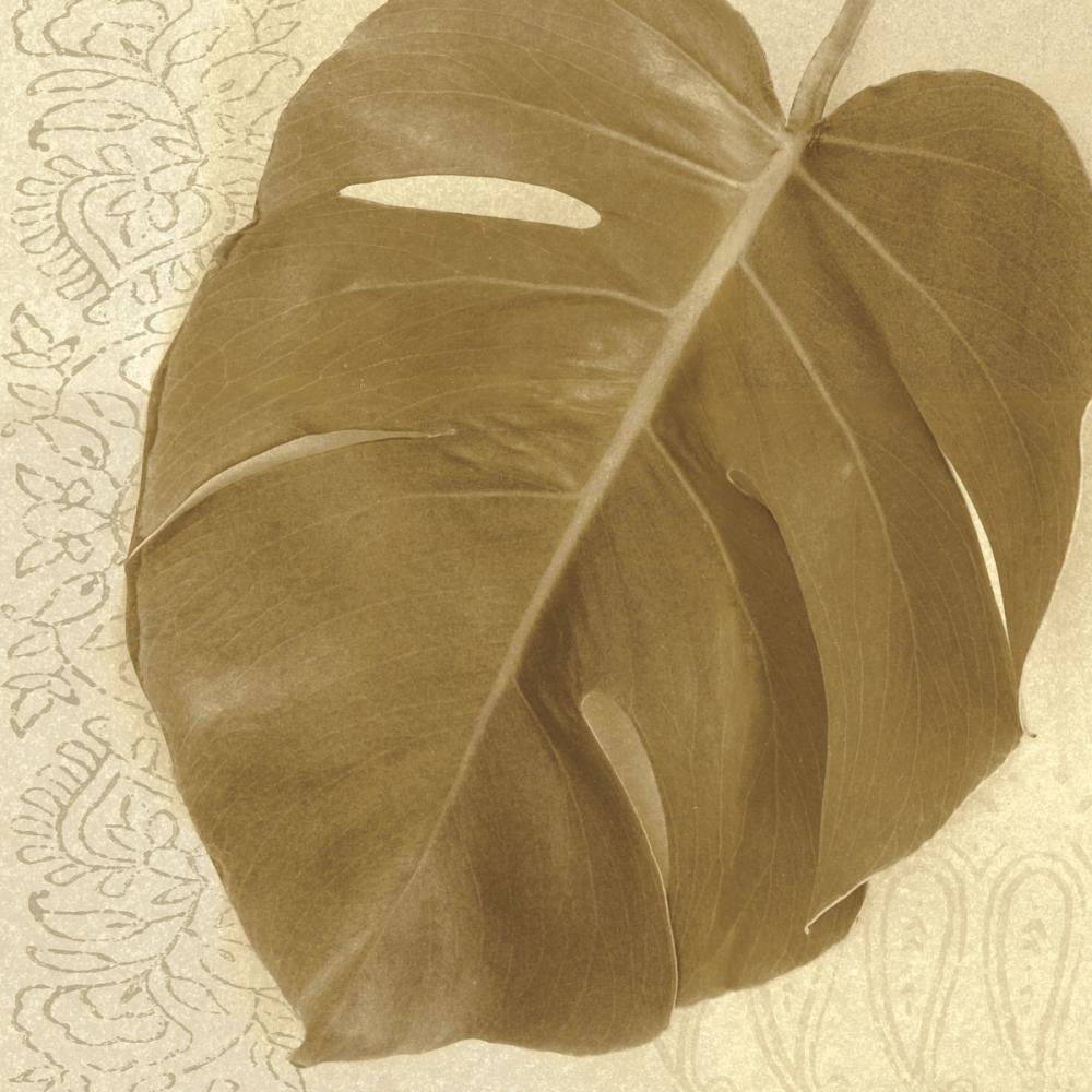 Ornate Monstera Leaf I