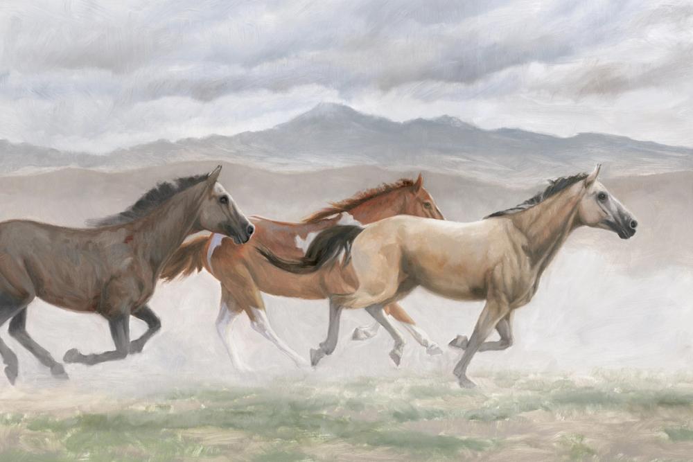 Wild Mustangs