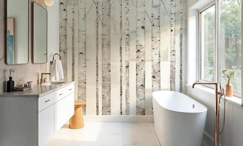 Birch Trees on White