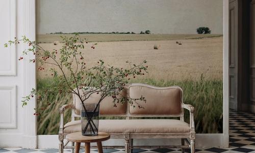 Neutral Country II