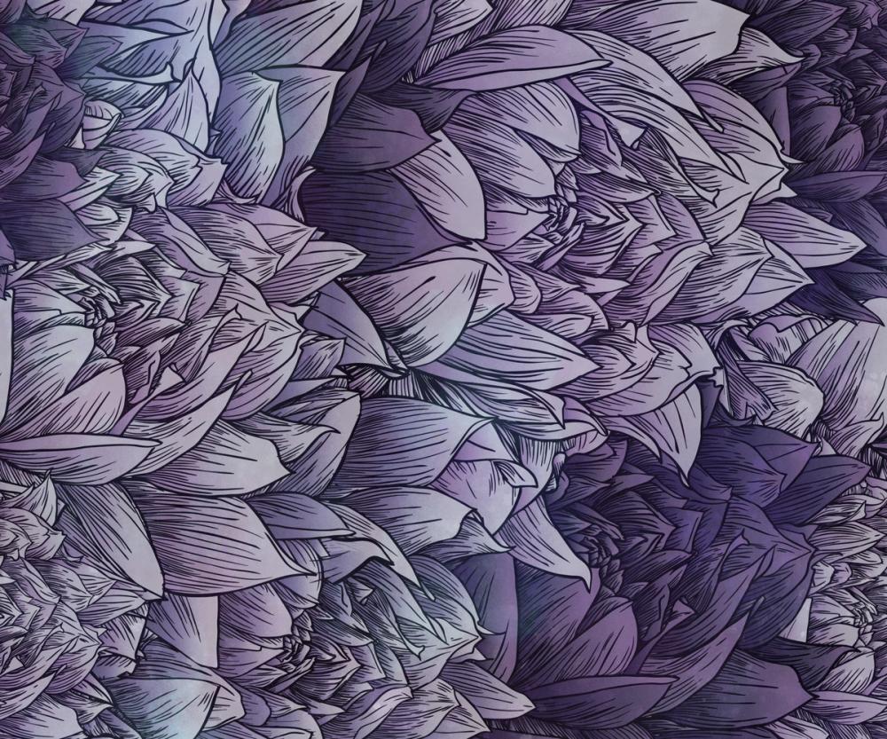 Chasing Dahlia Purple