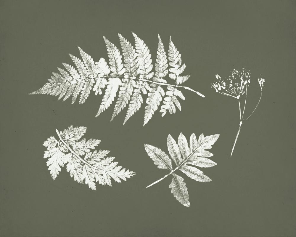 Walk in the Woods II on Green