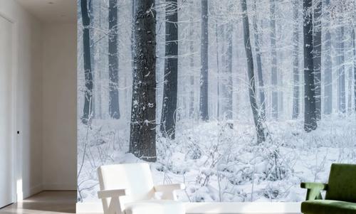 Cold forest