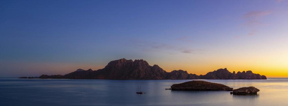 Danzante Island Yellow