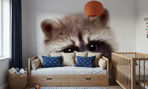 Peekaboo Raccoon