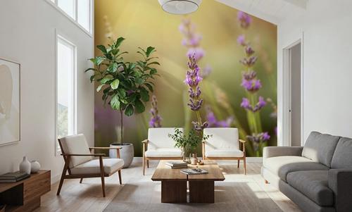 Lavender Scent