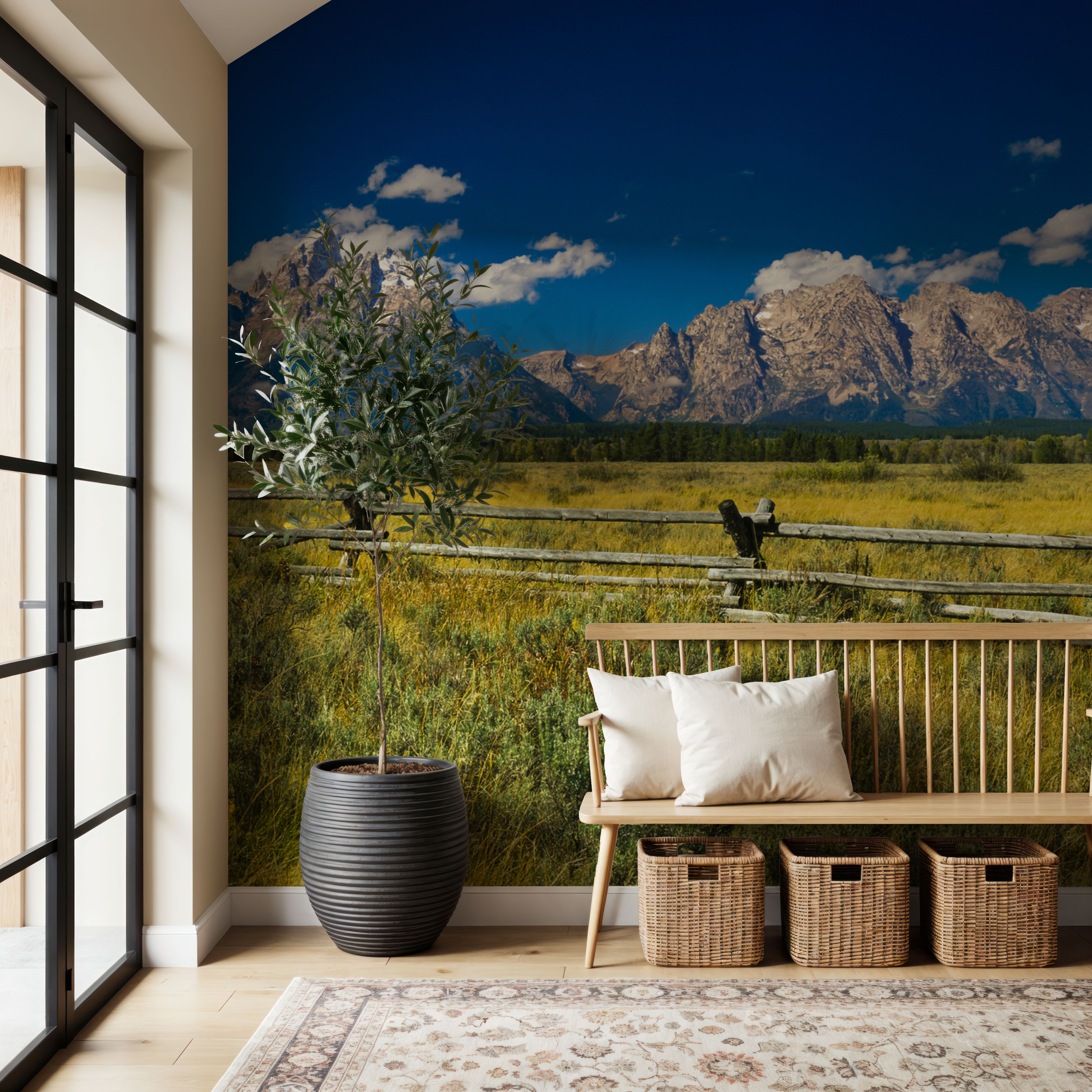 Grand Teton Range Field