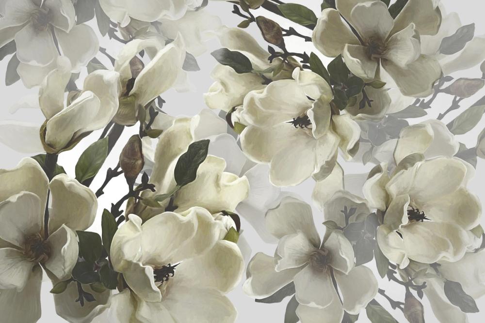 Dreaming Of Magnolias, Clean White