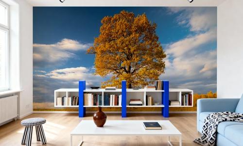Last Tree Standing