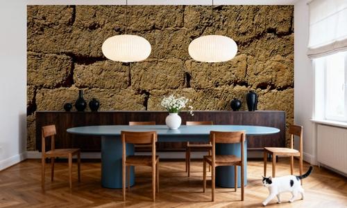 Spanish Mud Wall