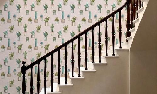 Mixed Cacti Pink