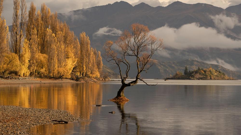 Autumn in Wanaka