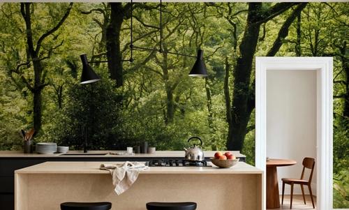 Enchanted Woodland