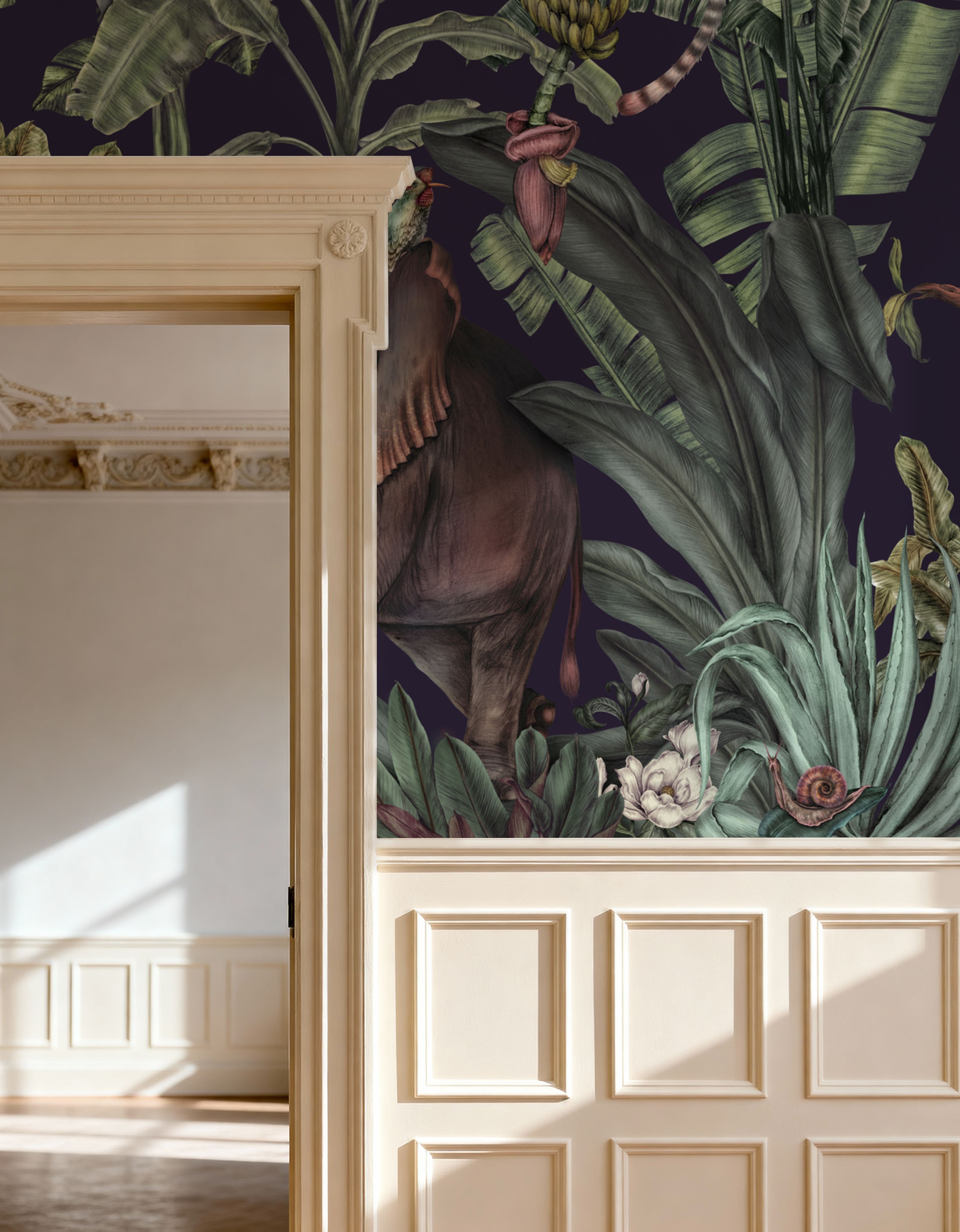 Jungle Kingdom, Space