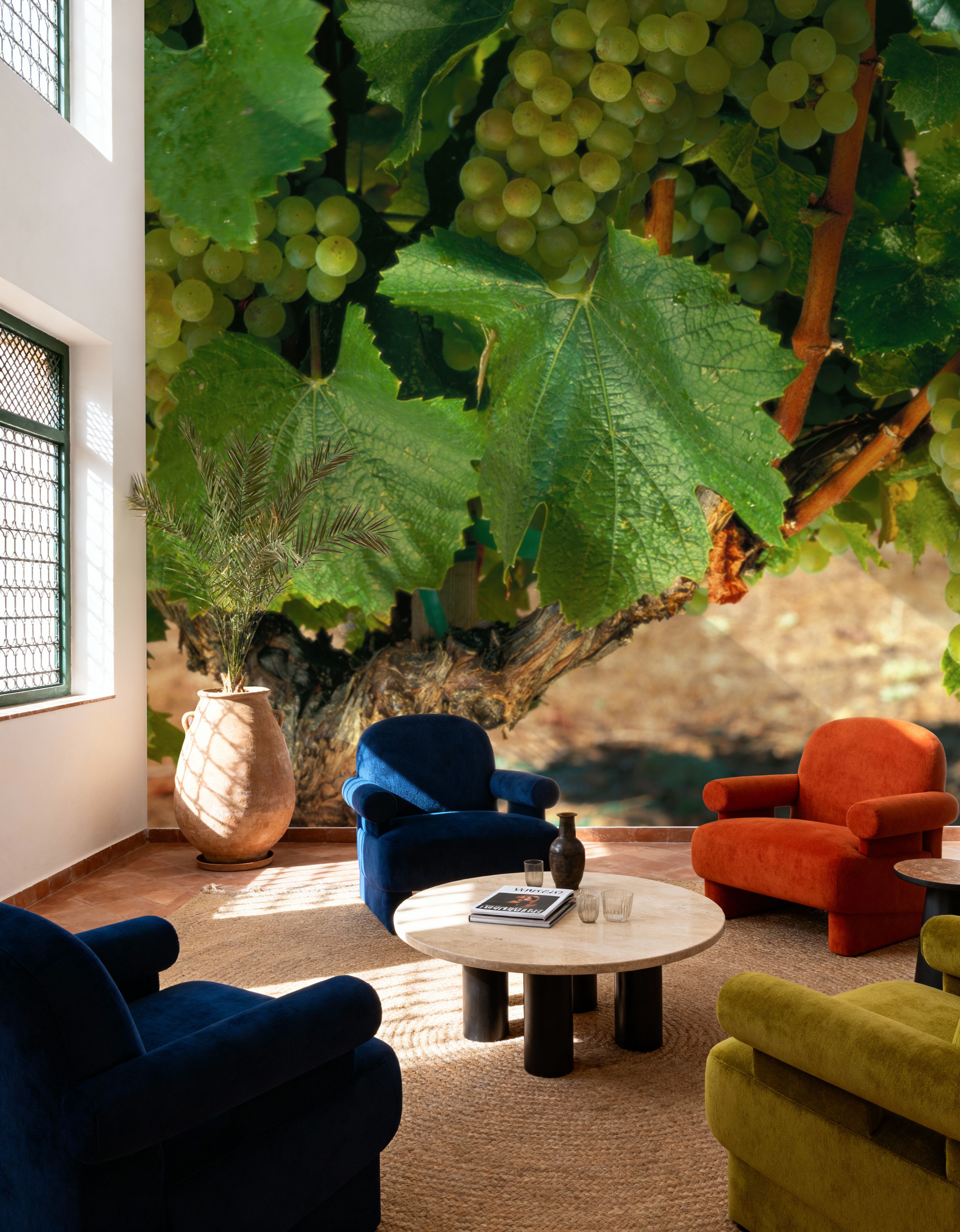 Napa Chardonnay Grapes