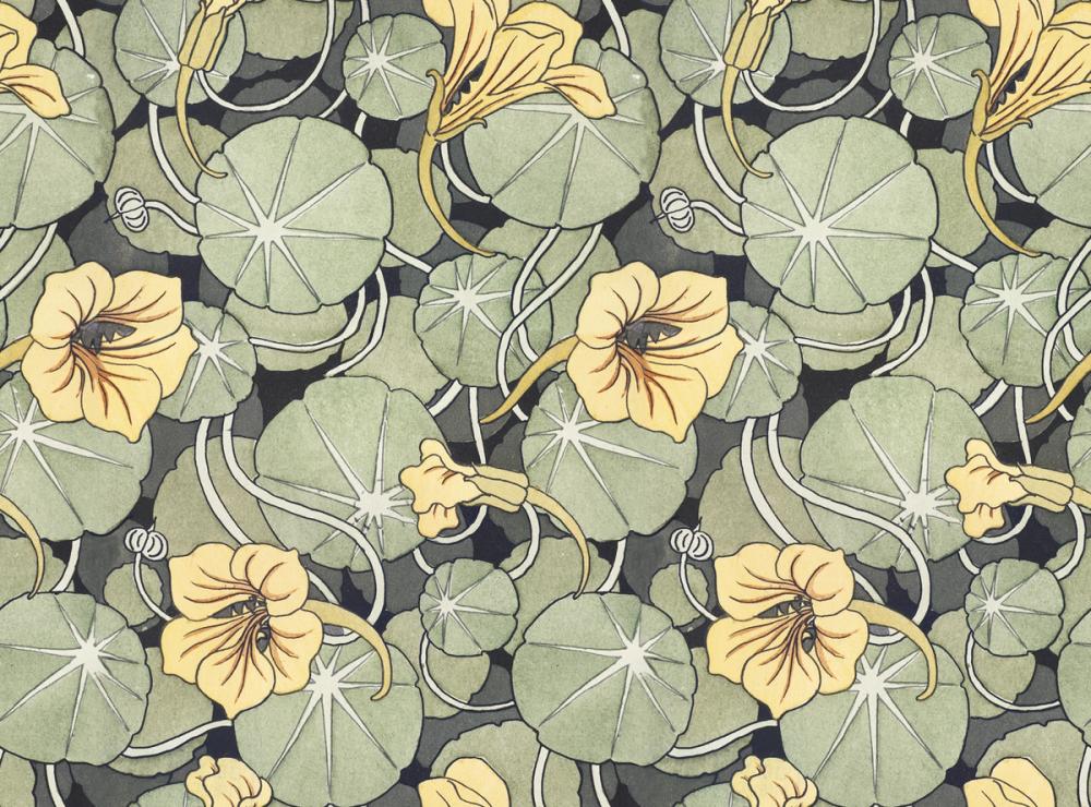 Nasturtium Verdure, Citrus