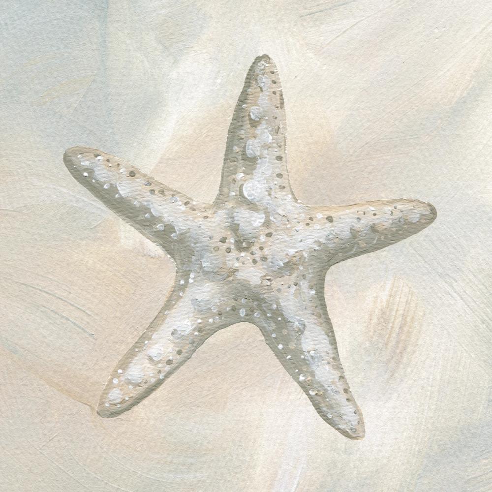 Starfish I