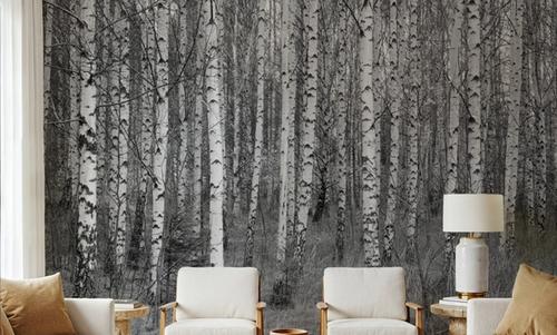 Birch Symphony