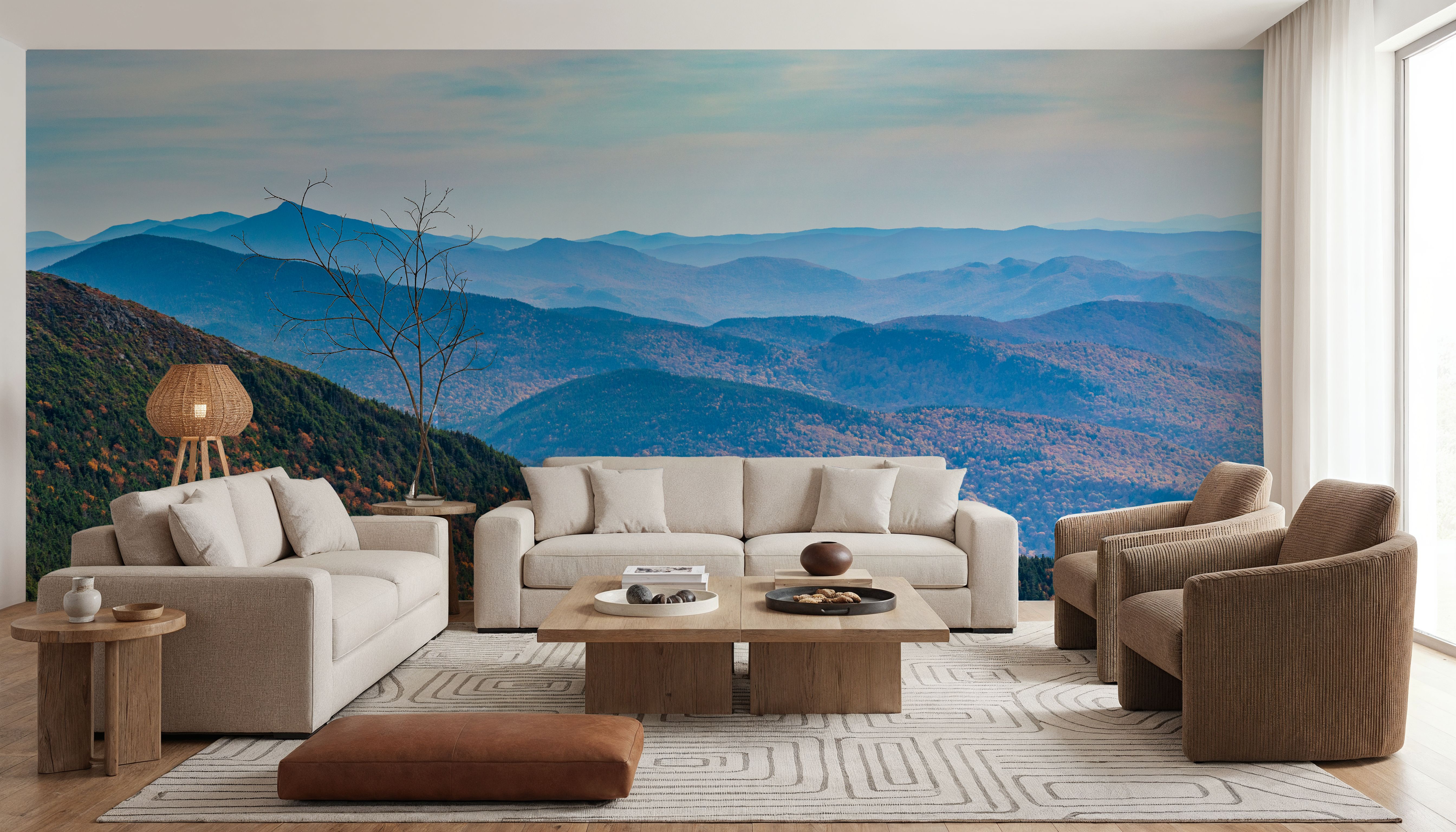 Rolling Forest Vista