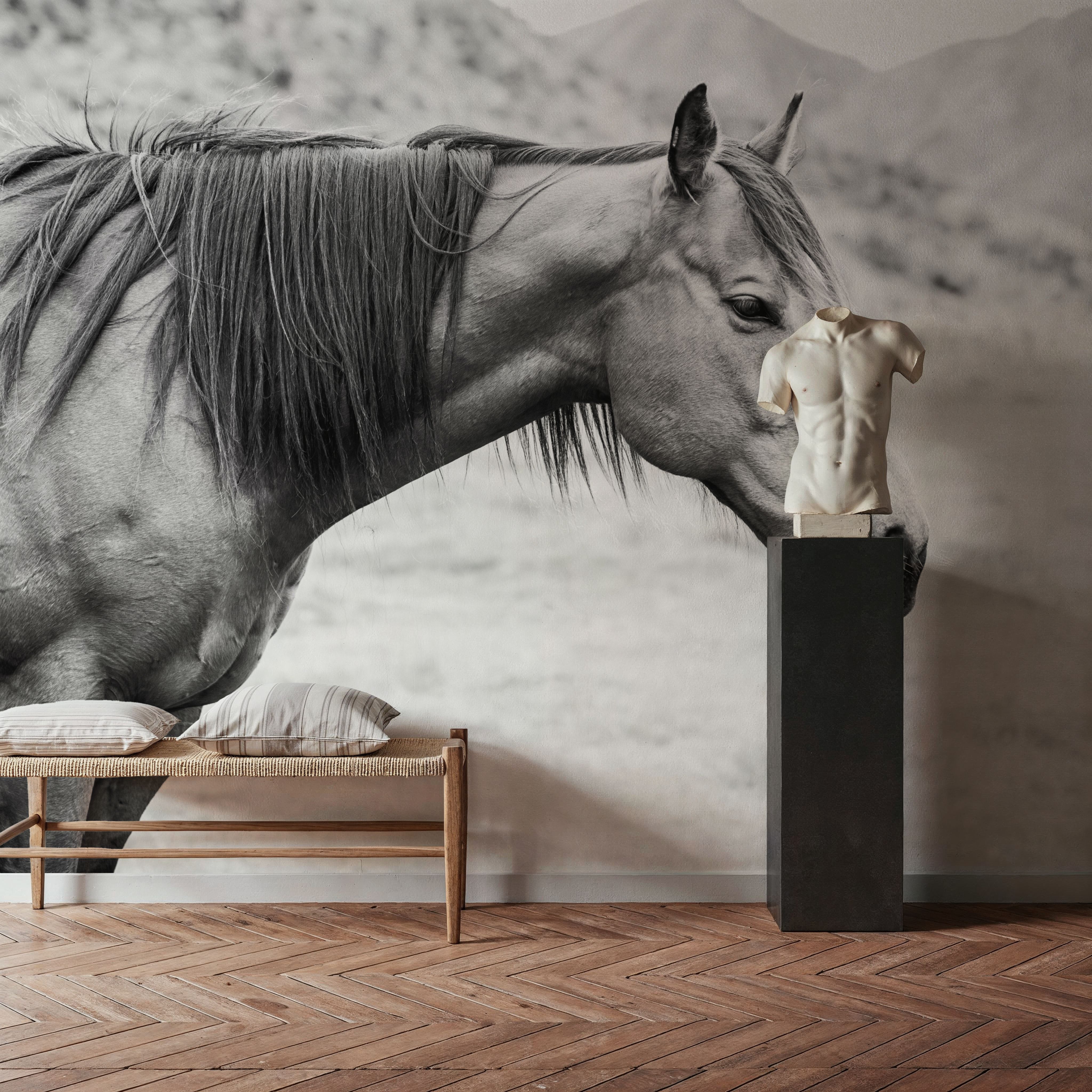 Moke Lake Horse