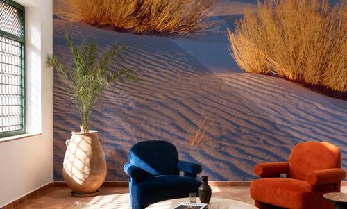 Golden Dune Shadows