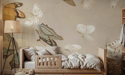 Chrysanthemum Butterflies
