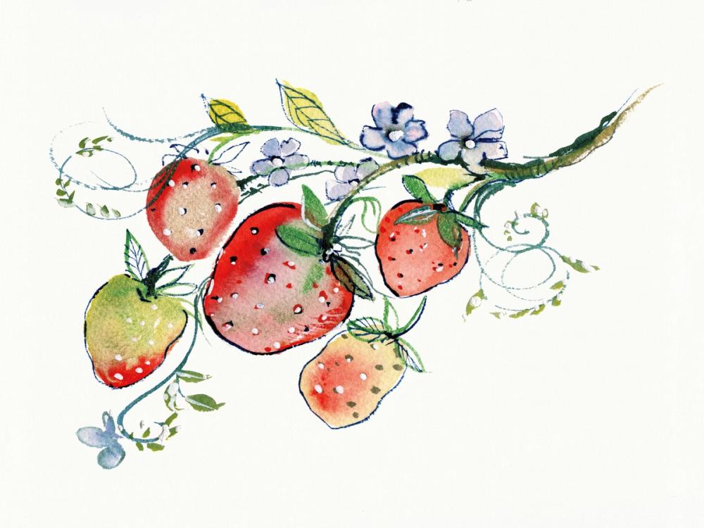 Summer Strawberries