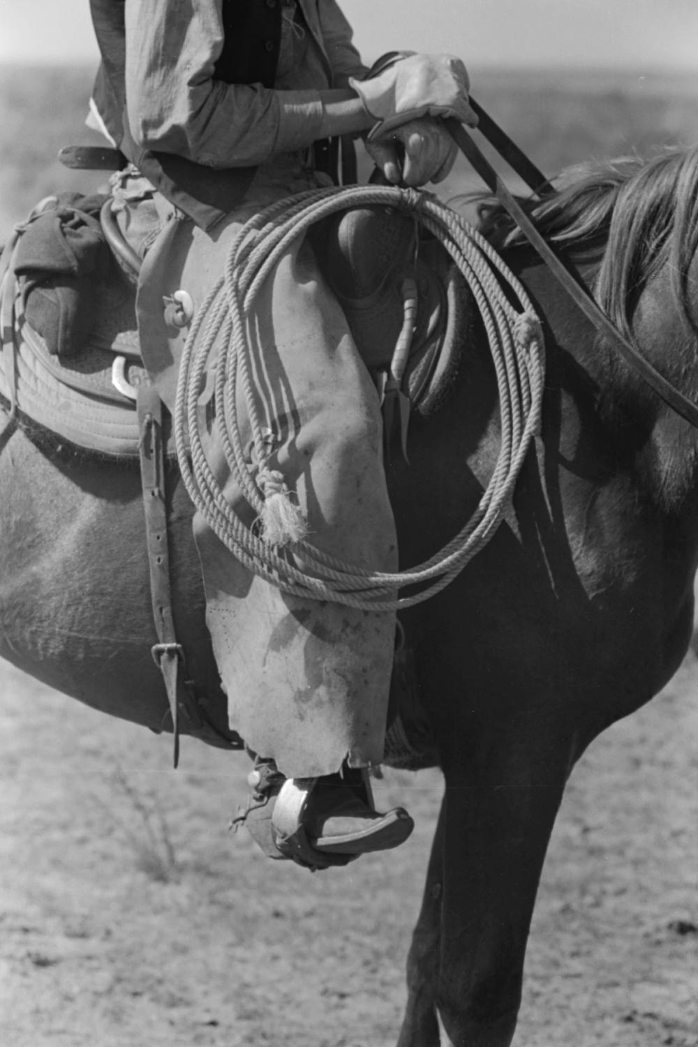 Regalia of the Cowboy