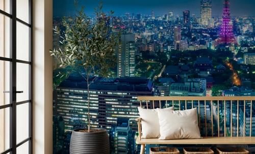 Tokyo Skyline Night