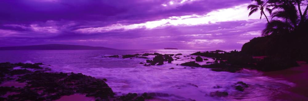 Purple Paradise Cove