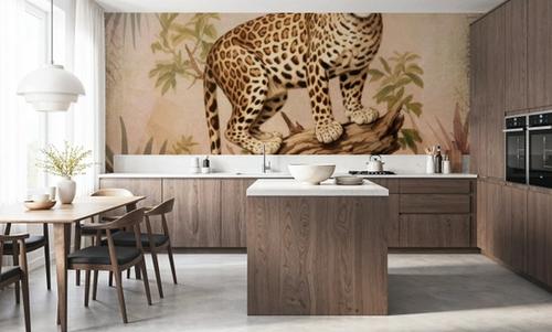 Cheetahs Exotic Jungle