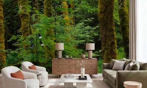 Evergreen Trees