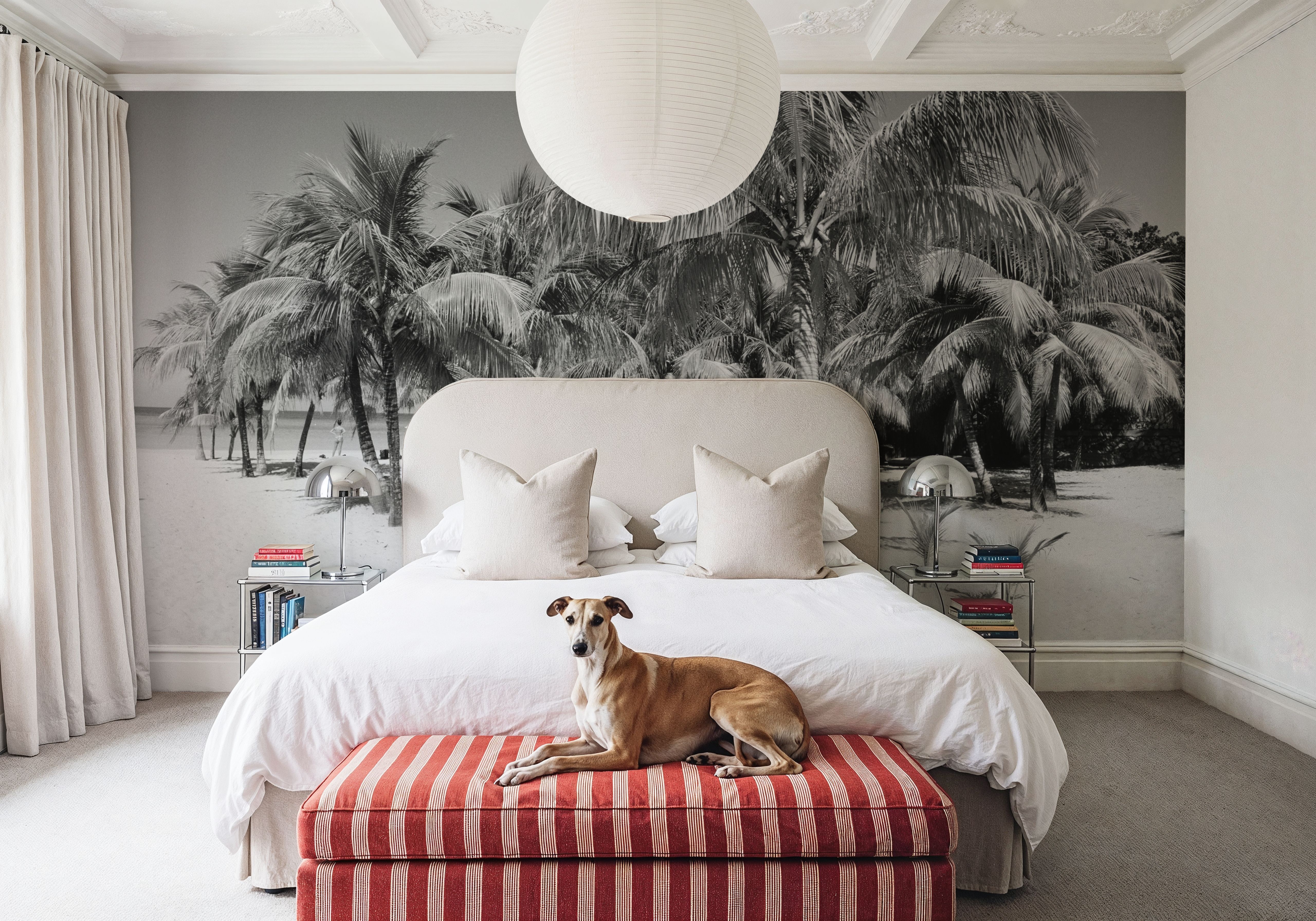 Palm Shadows, Wallpaper