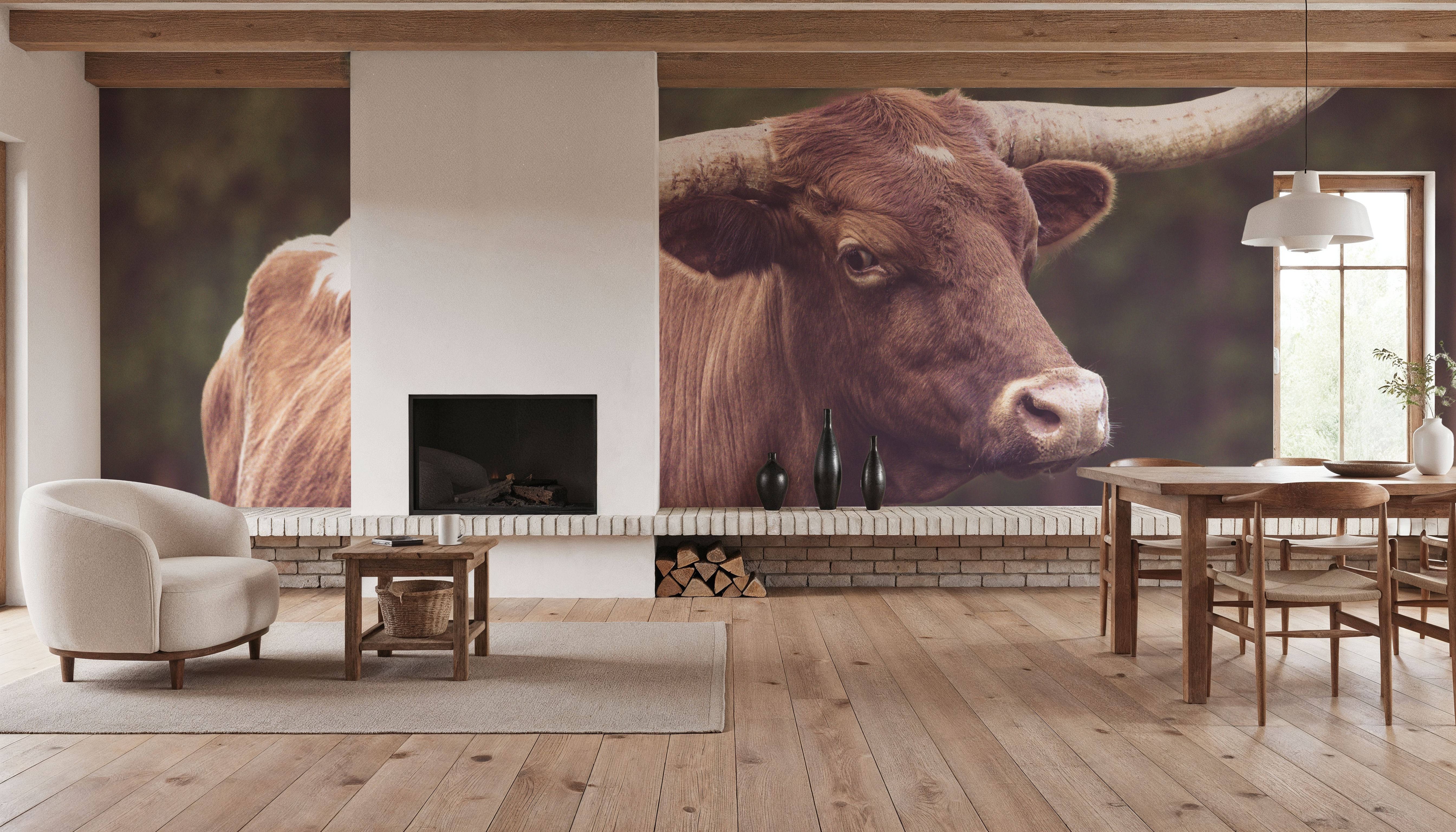 Longhorn Side Eye, Wallpaper