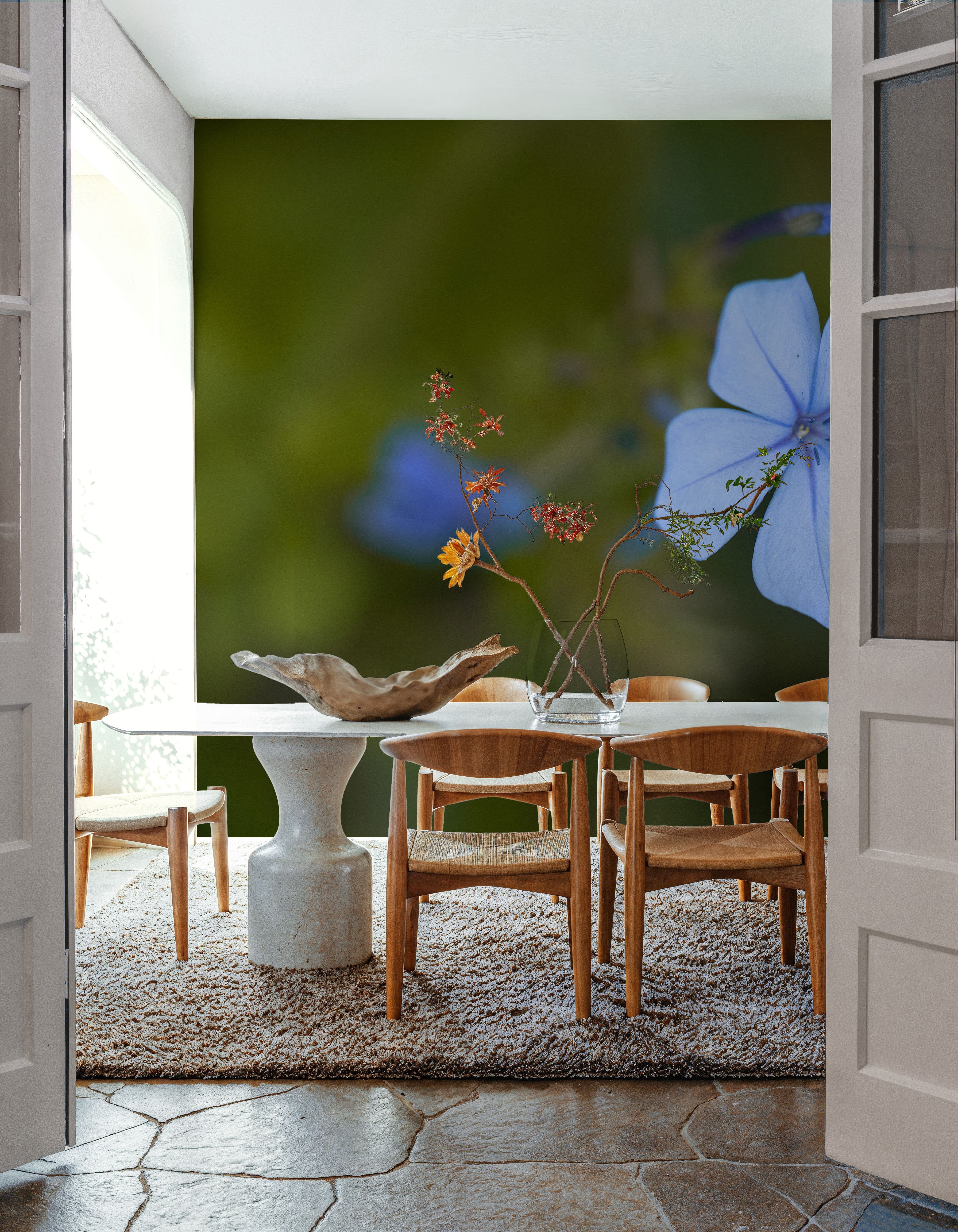 Plumbago