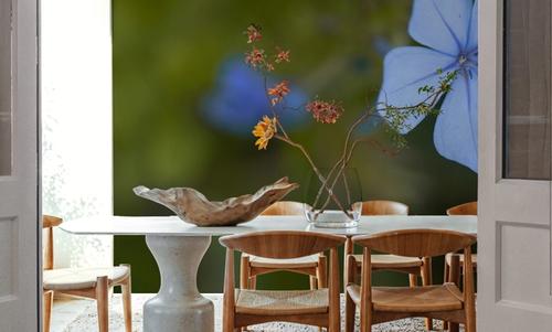 Plumbago