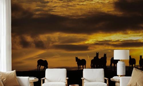 Horses at Sunset