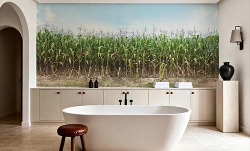 Corn Field
