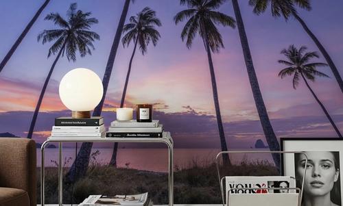 Sunset Palm Vista