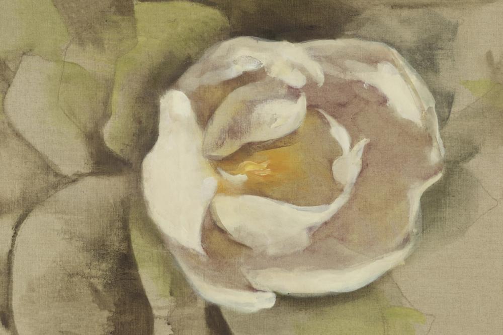 White Blossom on Canvas