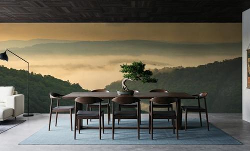 Morning Mist