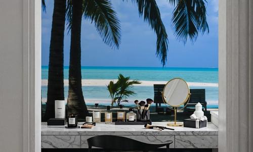 Palm Panorama II