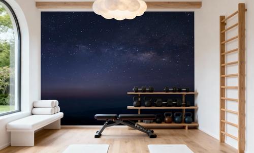 Starfield Horizon
